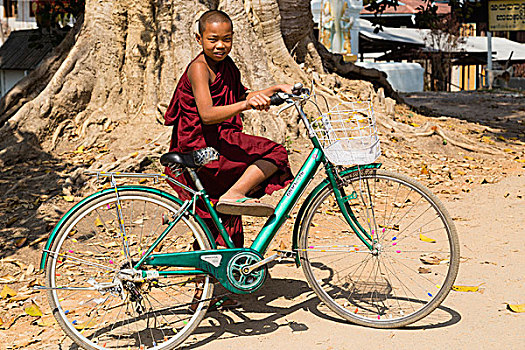 僧侣,自行车,市场,旋转,茵莱湖,缅甸,亚洲