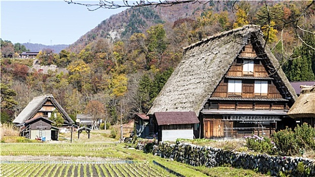 历史,乡村,五箇山