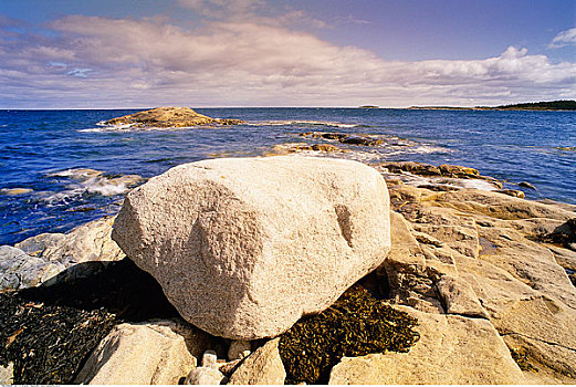 漂石,海岸,新斯科舍省,加拿大