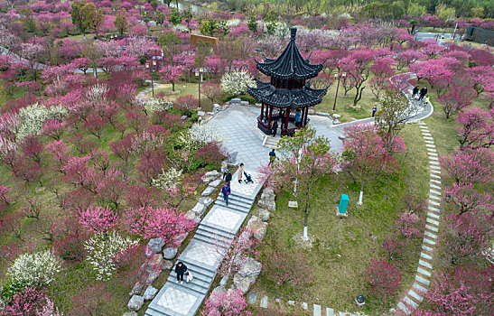 江苏省盐城市大丰区梅花湾景区