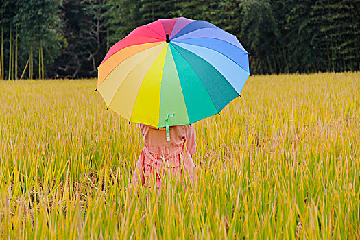 稻花香里话丰年