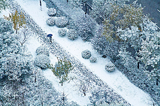 都市雪景