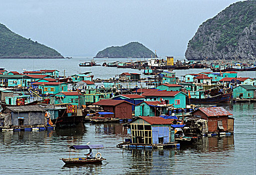 漂浮,乡村,港口,下龙湾,越南,东南亚