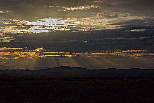 肯尼亚安波塞利国家公园