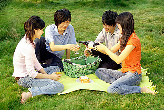 户外野餐举杯庆祝的四个年轻男女
