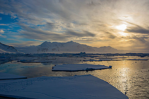 南极,靠近,阿德莱德,岛屿,浮冰,日落