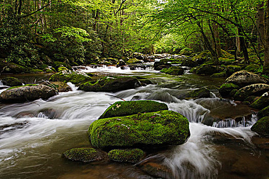 美国,田纳西,大烟山国家公园,层叠,溪流,公园,画廊