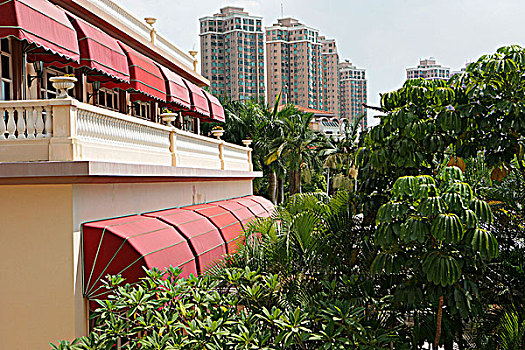 香港,黄金海岸,度假酒店,住宅,城堡,顶峰,湾