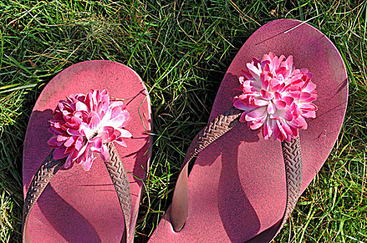粉色,人字拖鞋,假花,带子,草坪