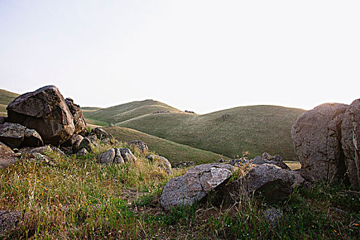 石头,加利福尼亚,美国
