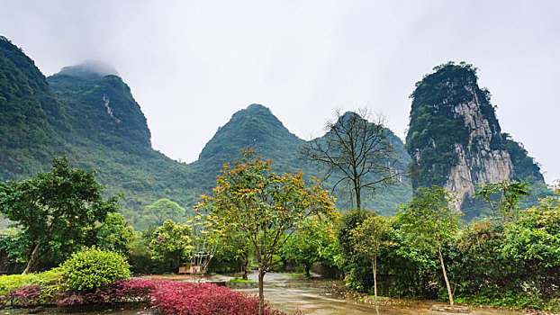 乡村,喀斯特地貌,山,阳朔