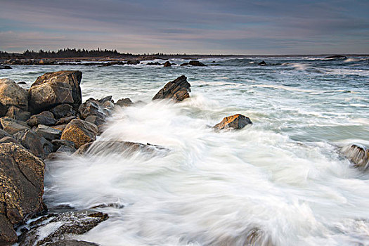 洗涤,岩石海岸,国家公园,新斯科舍省,加拿大