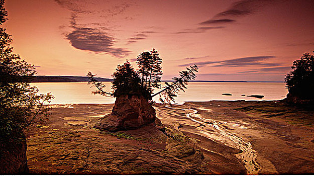 黎明,退潮,芬地湾,新斯科舍省,加拿大