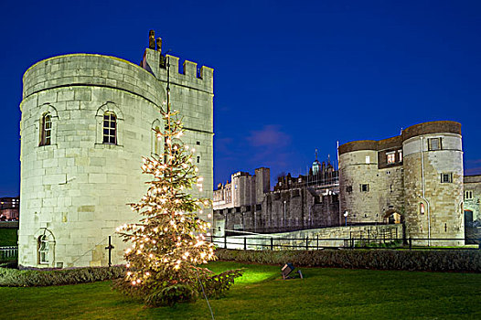 伦敦塔,圣诞树,夜晚