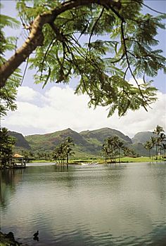 夏威夷,考艾岛,考艾礁湖,胜地,高尔夫球场,基乐球场,场地,静水,树,悬挂