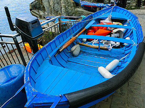 鱼,船,里奥马焦雷,五渔村国家公园,利古里亚,拉斯佩齐亚