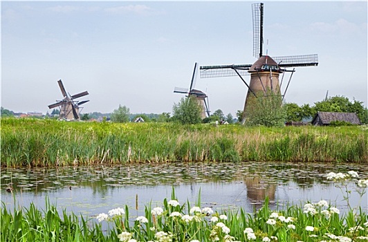 荷兰,乡野,风景,风车,春天