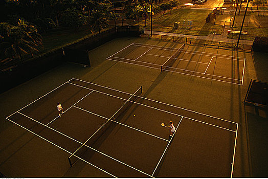 伴侣,玩,网球