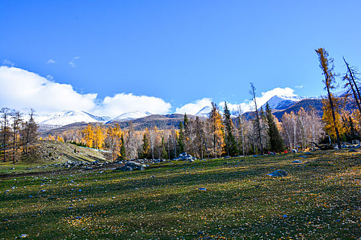 西北第一村白哈巴村秋日盛景