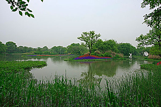 春天的杭州西溪湿地