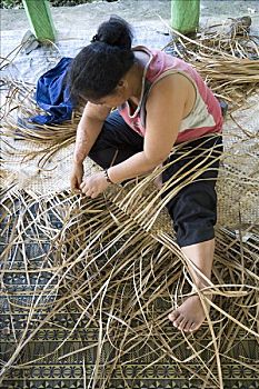 女人,编织,棕榈叶,乡村,萨摩亚群岛