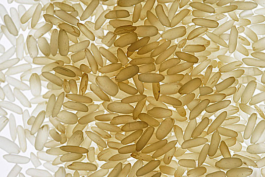 稻米,外皮,食物,主食,谷物,稻谷,多样性,稻,健康,粗粮,碳水化合物,蛋白质,维生素,矿物质,材质,微量元素,静物,招待,背影
