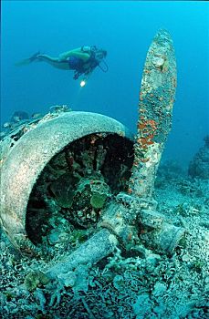 飞机,残骸,潜水者,巴布亚新几内亚,太平洋