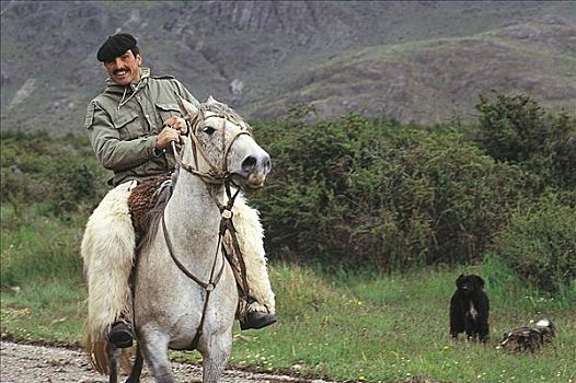 男人,高卓人,骑马,哺乳动物,巴塔哥尼亚,智利,南美