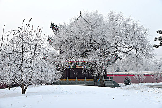 大庆市果成寺之冬