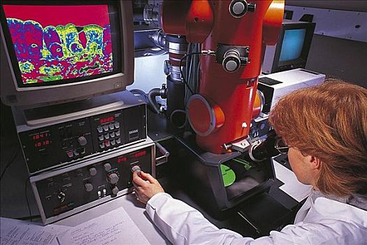 女人,操作,工作,电子显微镜,电脑屏幕,细胞,建筑,实验室