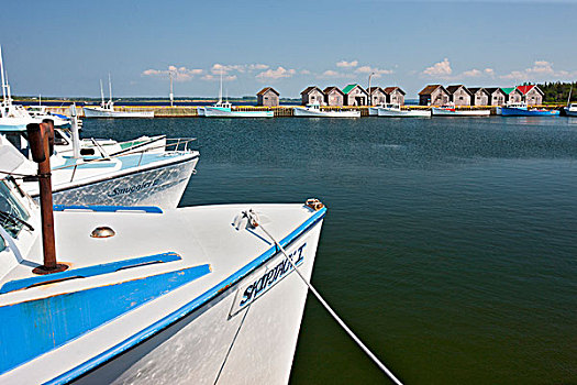 渔船,捆绑,码头,湾,港口,爱德华王子岛,加拿大