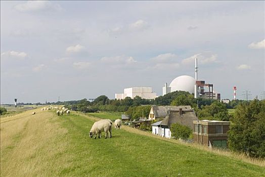 牧场,核电站,背景