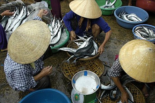 市场,女人,戴着,帽子,销售,鱼,鱼市,惠安,越南,东南亚