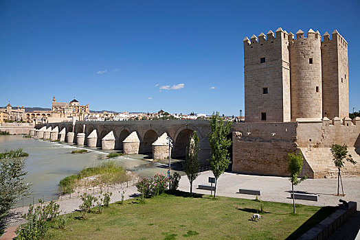 风景,塔,罗马桥,清真寺,大教堂,科多巴,安达卢西亚,西班牙,欧洲