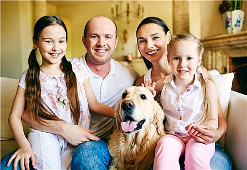 家庭,拉布拉多犬