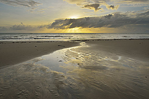沙滩,乌云,日出,雨林,岬角,困苦,昆士兰,澳大利亚