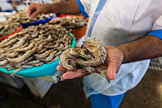 阿联酋,迪拜,德伊勒,鱼市,海湾,虾,对虾