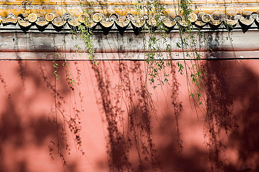 北京中山公园内的红墙