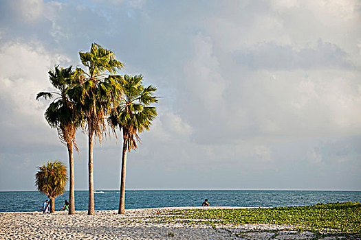沙滩,阔边帽,海滩,马拉松,佛罗里达礁岛群,佛罗里达,美国