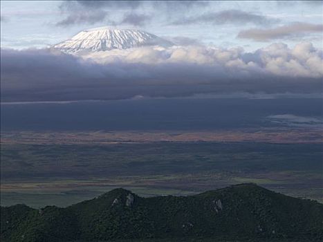 乞力马扎罗山,山,早晨,肯尼亚