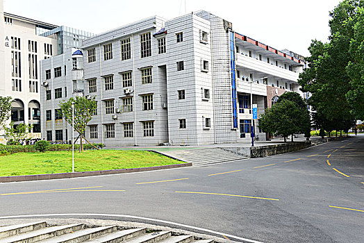 校园道路风景