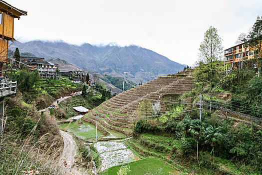 小路,乡村,龙胜,稻米梯田