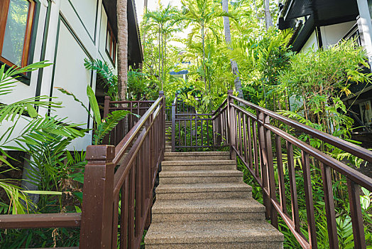 泰国东南亚热带房屋设计和台阶