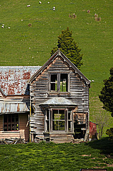 废弃,农舍,靠近,纳尔逊,南岛,新西兰