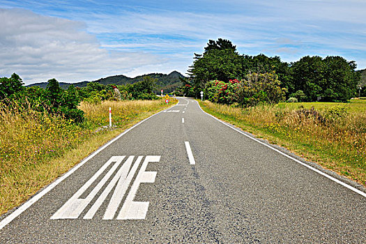 乡间小路,南岛,新西兰