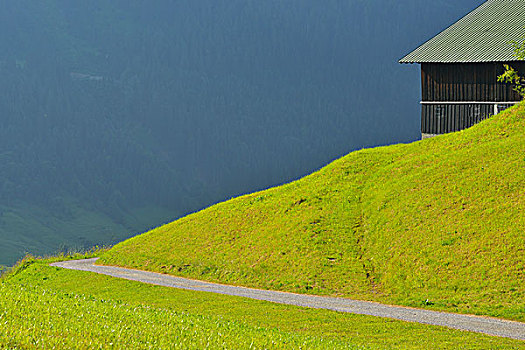 小路,山,靠近,克莱恩瓦泽泰,阿尔卑斯山,奥地利