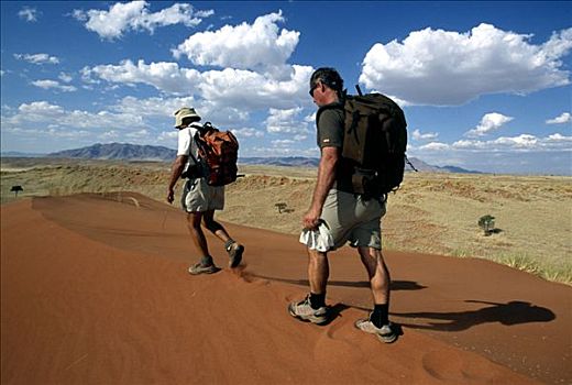 男人,走,上方,沙丘,小路,自然保护区,纳米比亚,非洲