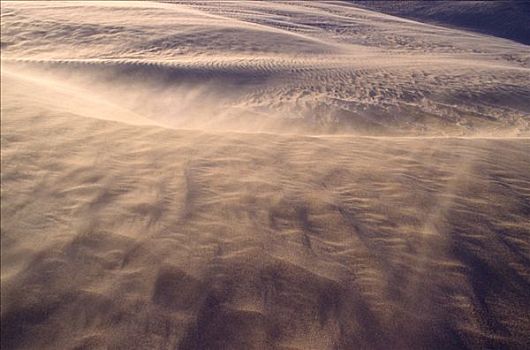 沙漠,风,吹,沙子,沙丘