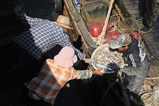 山东省日照市,渔船回港带来梭子蟹,刀鱼等各种海鲜,价格实惠引游客疯抢