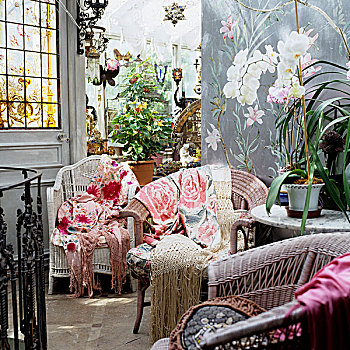 藤椅,彩色,盆栽,房间,看,温室